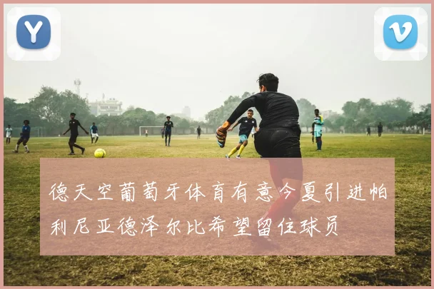 德天空葡萄牙体育有意今夏引进帕利尼亚德泽尔比希望留住球员